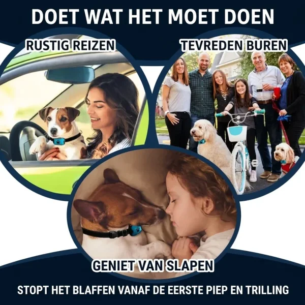 BARKYGUARD-3831127658972-NL-6__080726.webp