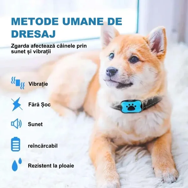 BARKYGUARD-3831127658972-RO-1__080726.webp