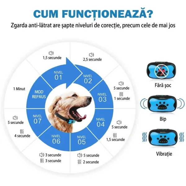 BARKYGUARD-3831127658972-RO-2__080726.webp