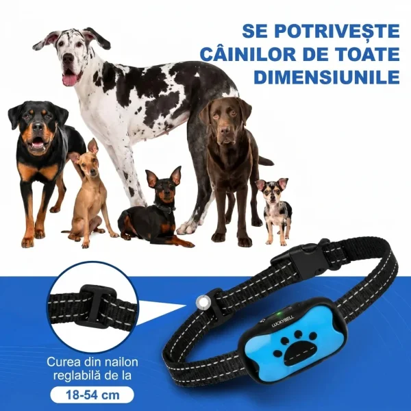 BARKYGUARD-3831127658972-RO-7__190826.webp