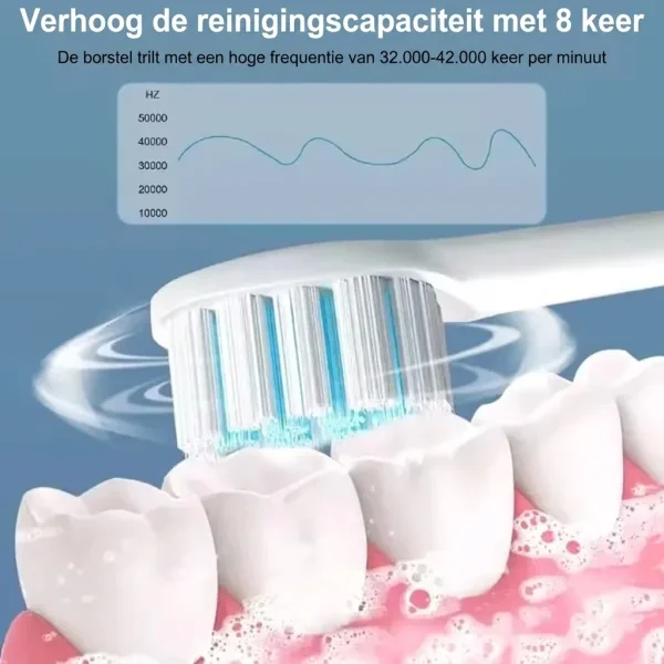 BELISMILE-3831127558146-NL-11__240926.webp