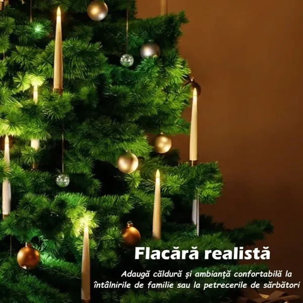 CANDLEA-3831127613878-RO-7__080825.webp