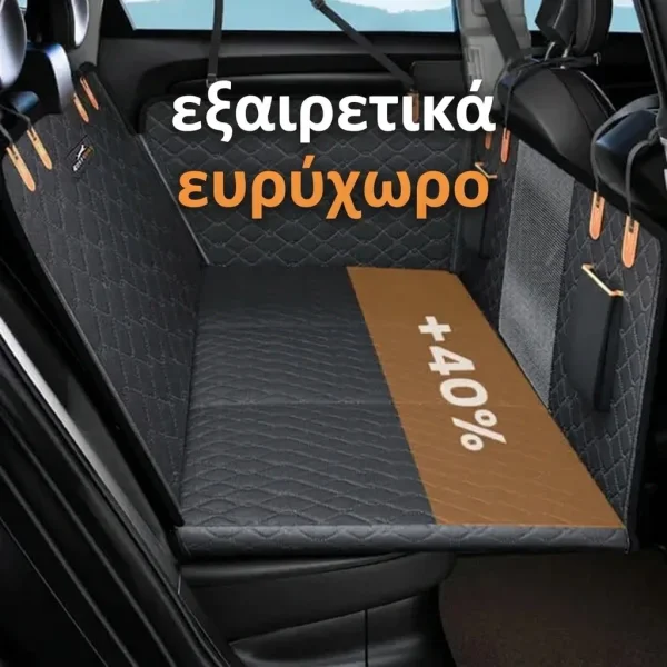 CARIPET-3831127603434-GR-3__151225.webp