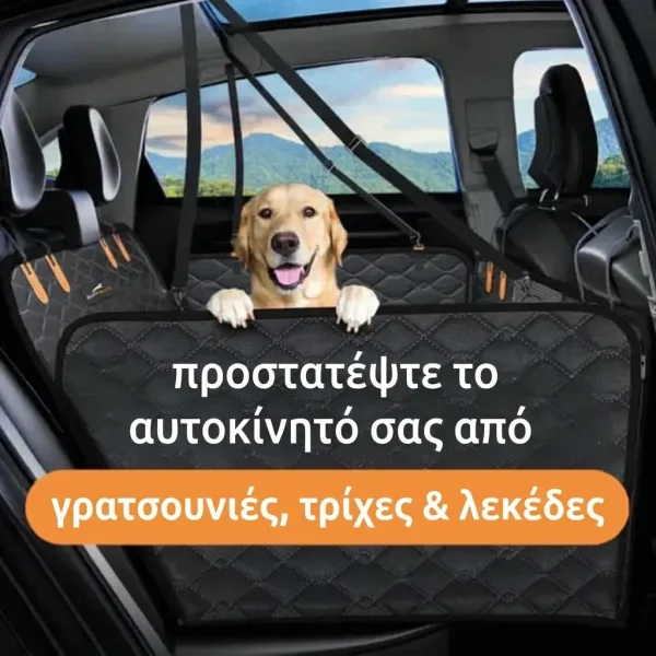 CARIPET-3831127603434-GR-8__250725.webp