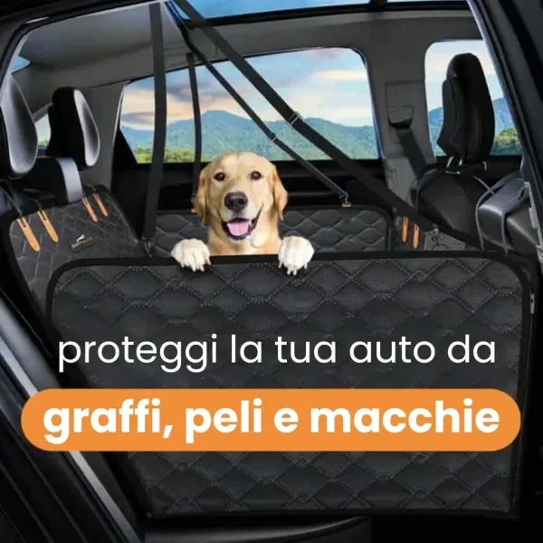 CARIPET-3831127603434-IT-8__250725.webp