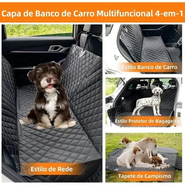 CARIPET-3831127603434-PT-5__250725.webp