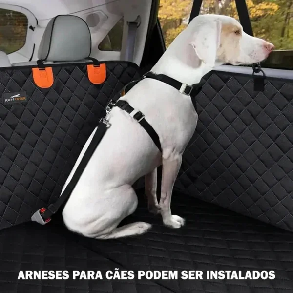 CARIPET-3831127603434-PT-7__250725.webp