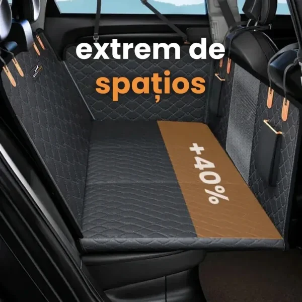 CARIPET-3831127603434-RO-3__151225.webp
