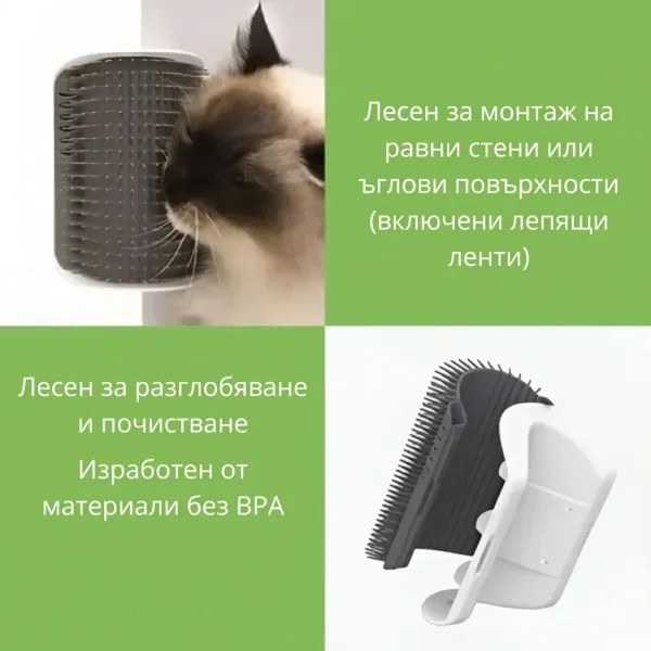 CATGROOM-3831127643348-BG-5__110626.webp