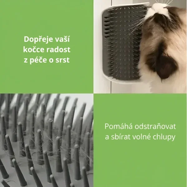 CATGROOM-3831127643348-CZ-2__210326.webp