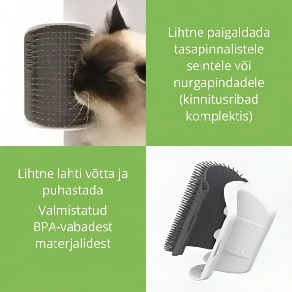 CATGROOM-3831127643348-EE-5__110626.webp