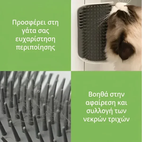 CATGROOM-3831127643348-GR-2__210326.webp