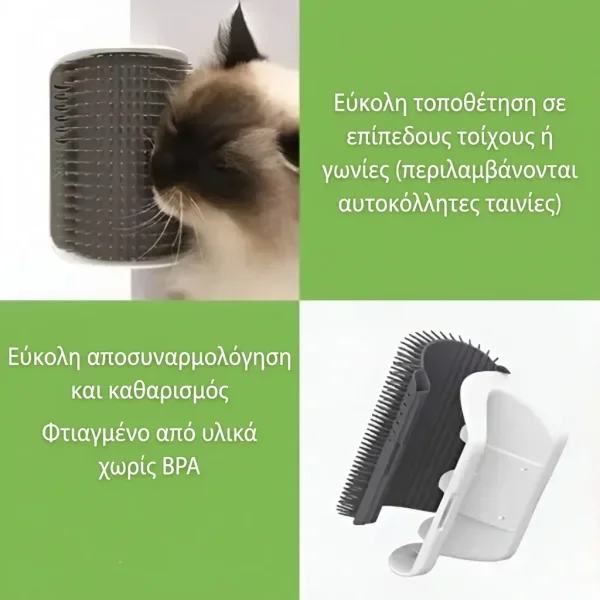 CATGROOM-3831127643348-GR-5__110626.webp