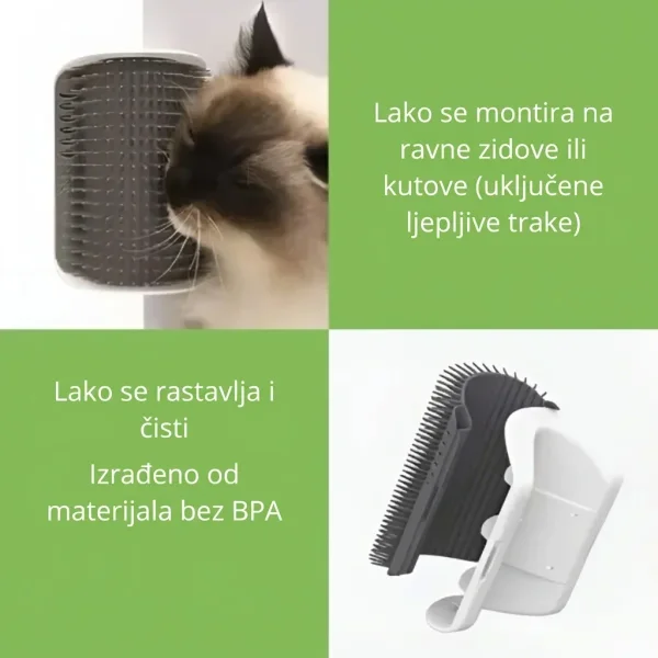 CATGROOM-3831127643348-HR-5__110626.webp