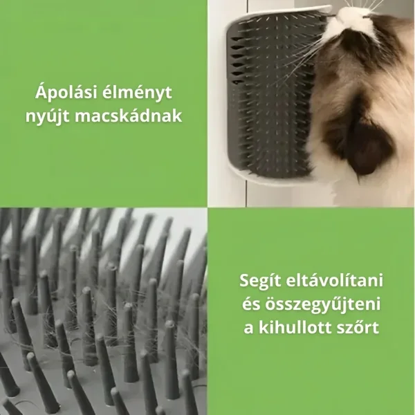 CATGROOM-3831127643348-HU-2__210326.webp
