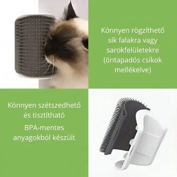 CATGROOM-3831127643348-HU-5__110626.webp