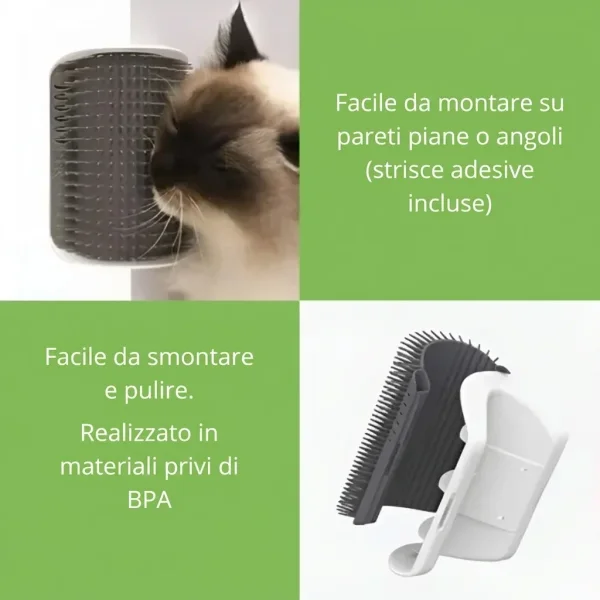 CATGROOM-3831127643348-IT-5__110626.webp