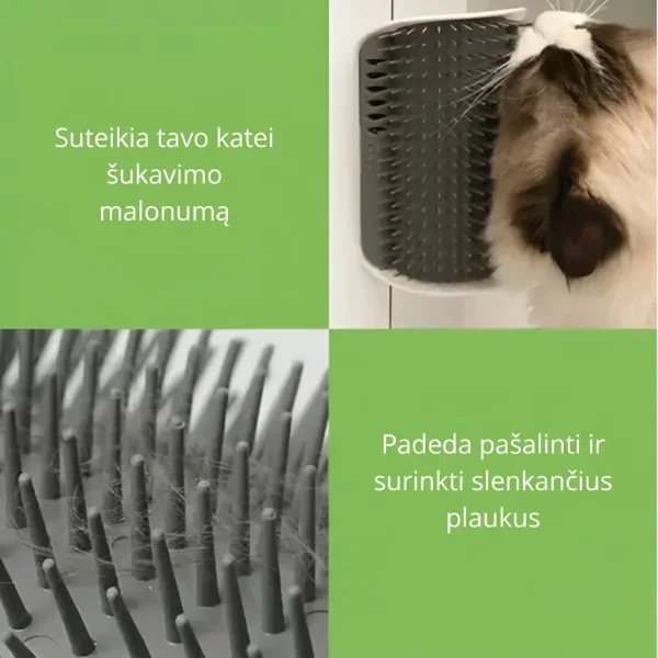 CATGROOM-3831127643348-LT-2__210326.webp