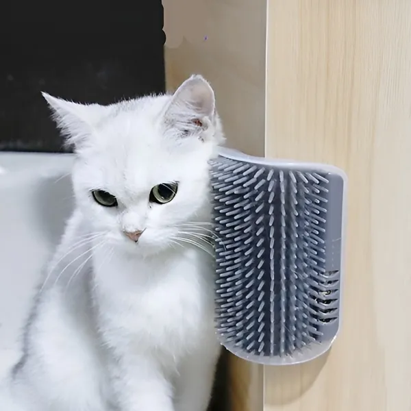 CATGROOM-3831127643348-N-1__210326-ae729a41-c6d8-43c6-946b-4b2c10e5c872.webp
