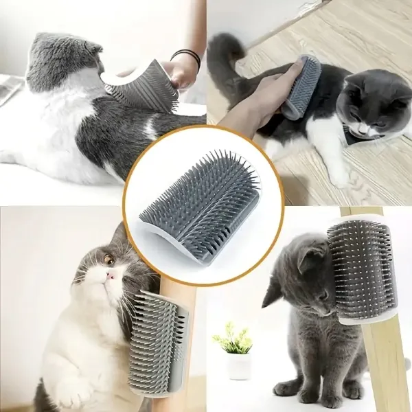 CATGROOM-3831127643348-N-2__210326-6ea6eccd-2213-4029-bb8a-56f9a4237bb2.webp