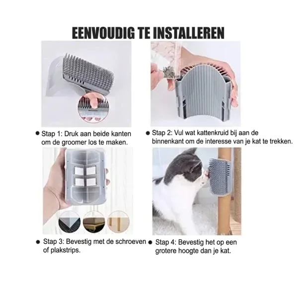 CATGROOM-3831127643348-NL-3__210326.webp