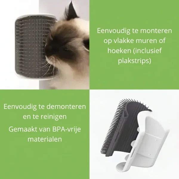 CATGROOM-3831127643348-NL-5__110626.webp