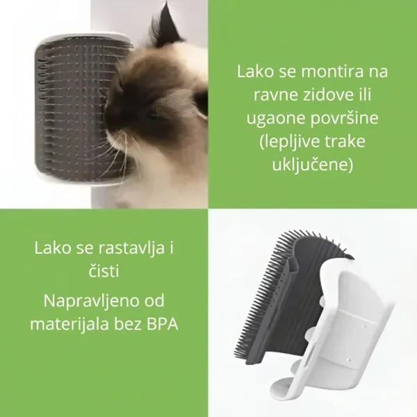 CATGROOM-3831127643348-RS-5__110626.webp