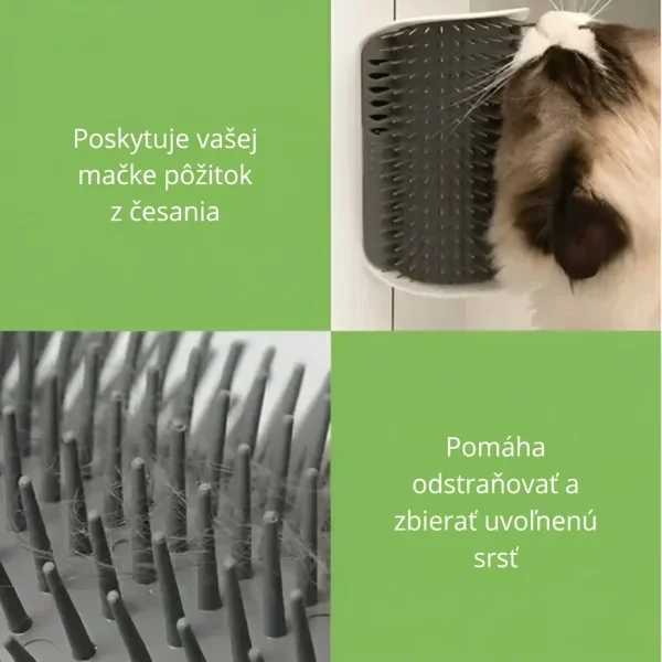 CATGROOM-3831127643348-SK-2__210326.webp