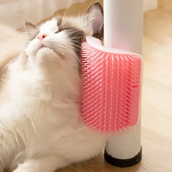 CATGROOM-3831127643362-N-2__210326-3eab1866-9f15-4340-80f5-b9ffef286442.webp