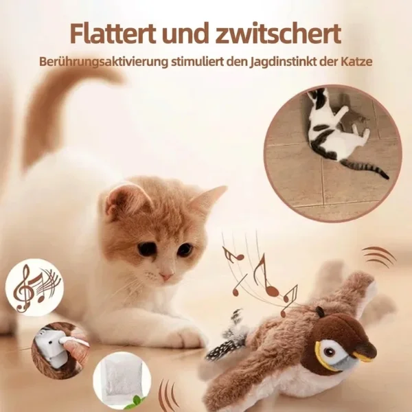 CHIRRCAT-3831127628906-AT-5__221225.webp