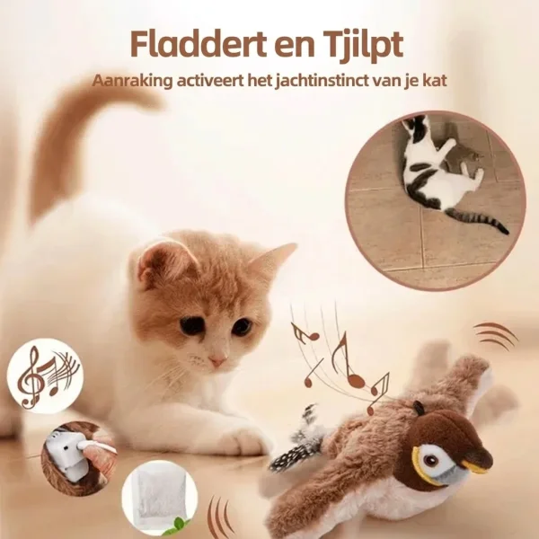 CHIRRCAT-3831127628906-BE-5__221225.webp