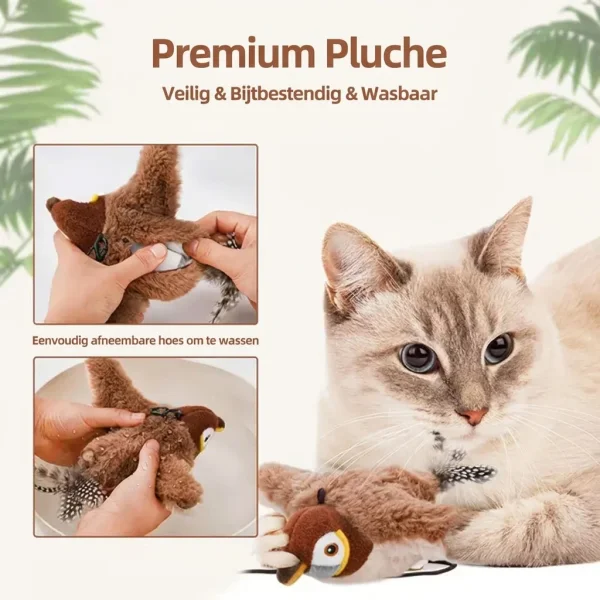 CHIRRCAT-3831127628906-BE-9__221225.webp
