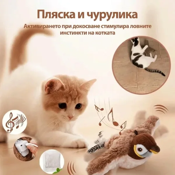CHIRRCAT-3831127628906-BG-5__221225.webp