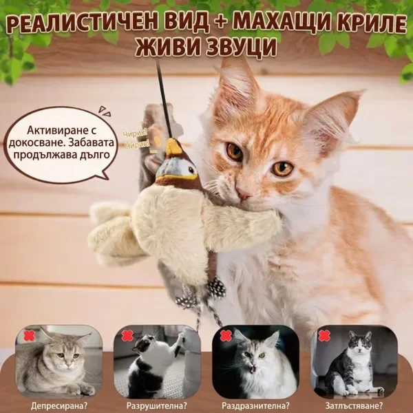 CHIRRCAT-3831127628906-BG-6__221225.webp