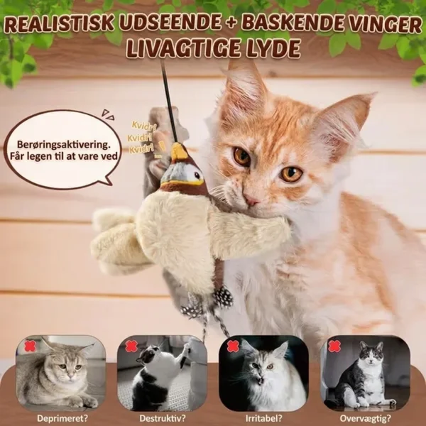 CHIRRCAT-3831127628906-DK-6__221225.webp