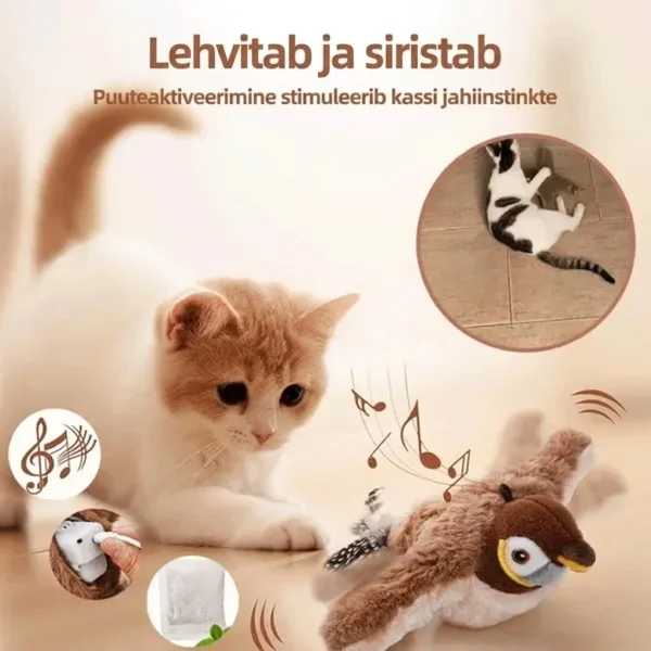 CHIRRCAT-3831127628906-EE-5__221225.webp