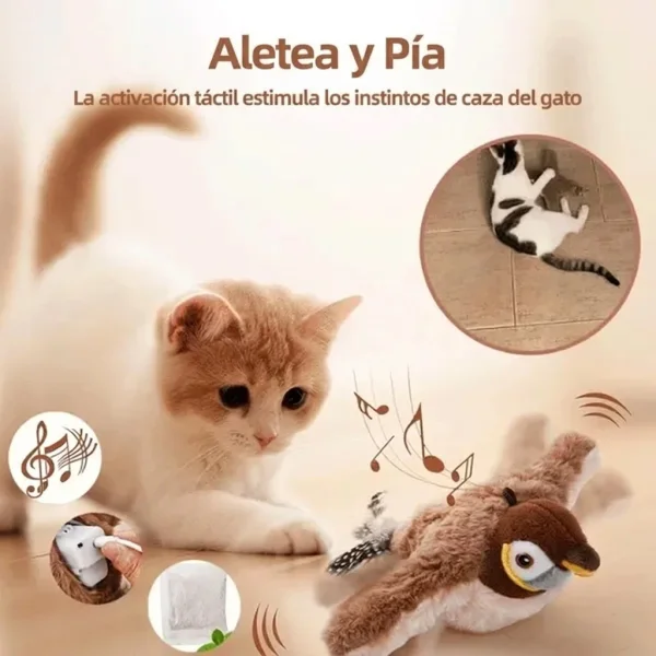 CHIRRCAT-3831127628906-ES-5__221225.webp