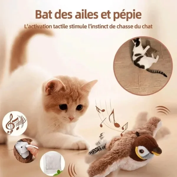CHIRRCAT-3831127628906-FR-5__221225.webp