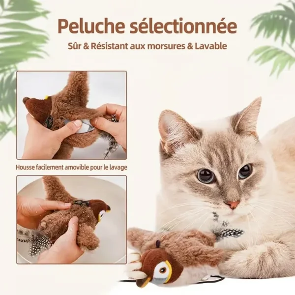 CHIRRCAT-3831127628906-FR-9__221225.webp
