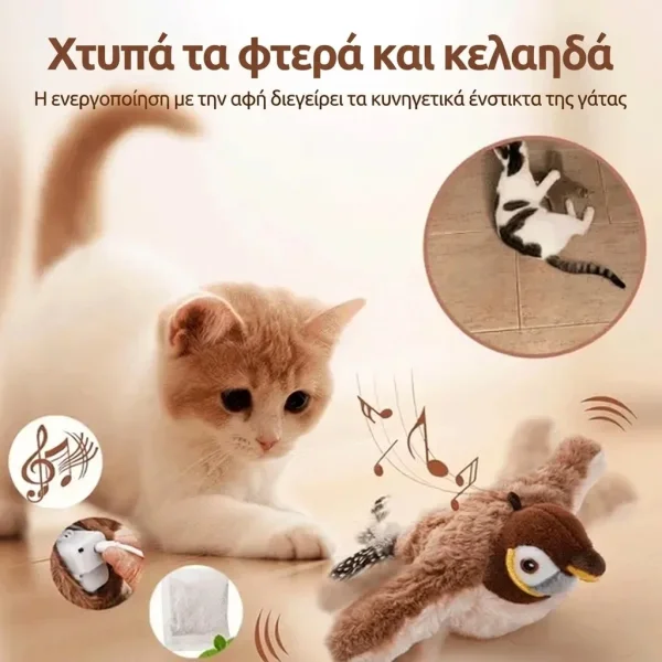 CHIRRCAT-3831127628906-GR-5__221225.webp