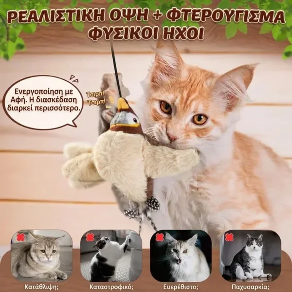 CHIRRCAT-3831127628906-GR-6__221225.webp