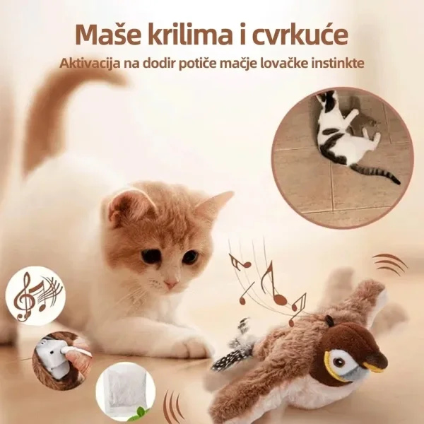 CHIRRCAT-3831127628906-HR-5__221225.webp