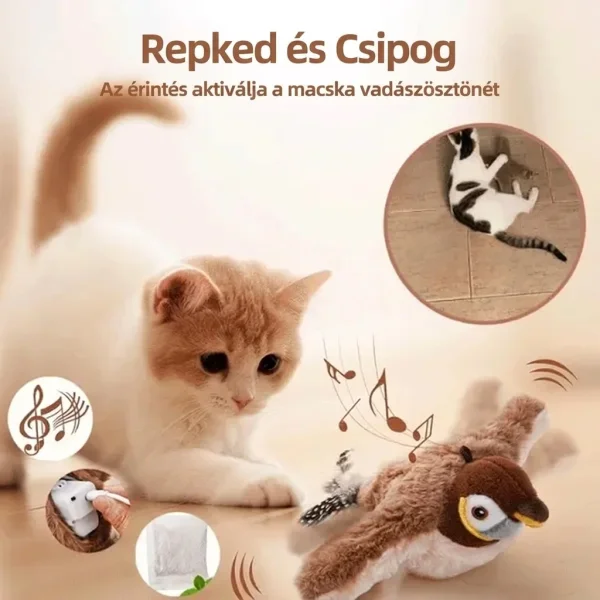 CHIRRCAT-3831127628906-HU-5__221225.webp