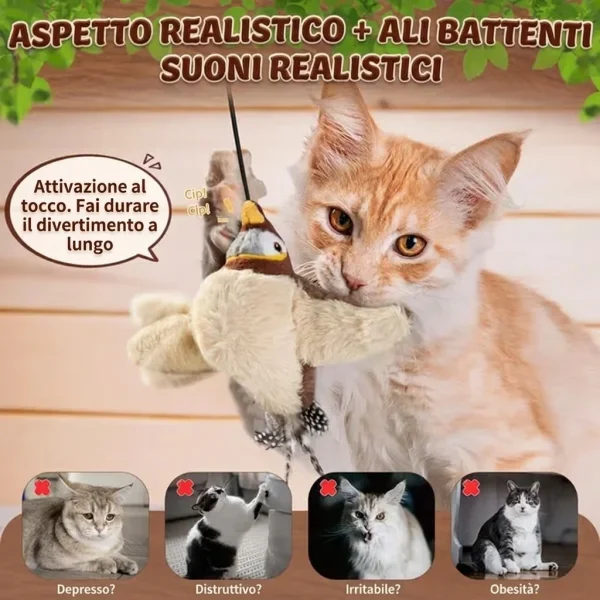 CHIRRCAT-3831127628906-IT-6__221225.webp