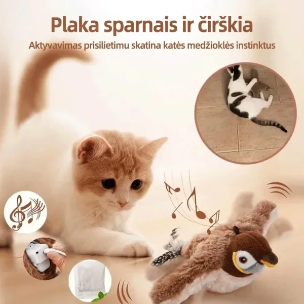 CHIRRCAT-3831127628906-LT-5__221225.webp