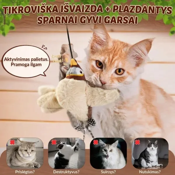 CHIRRCAT-3831127628906-LT-6__221225.webp