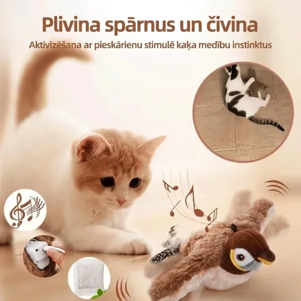 CHIRRCAT-3831127628906-LV-5__221225.webp