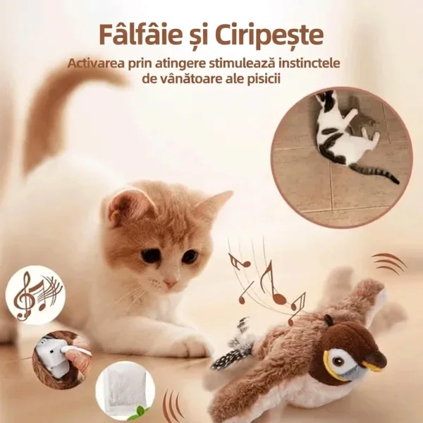 CHIRRCAT-3831127628906-RO-5__221225.webp