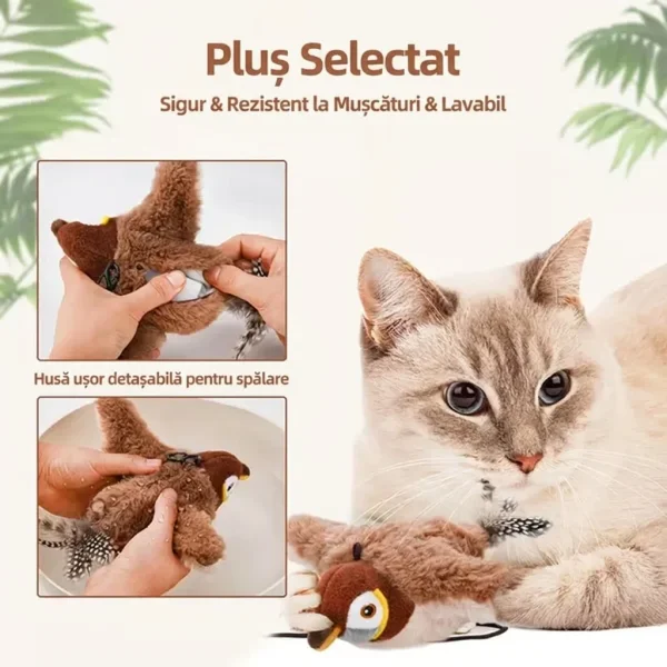 CHIRRCAT-3831127628906-RO-9__221225.webp