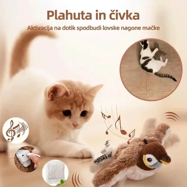 CHIRRCAT-3831127628906-SI-5__221225.webp
